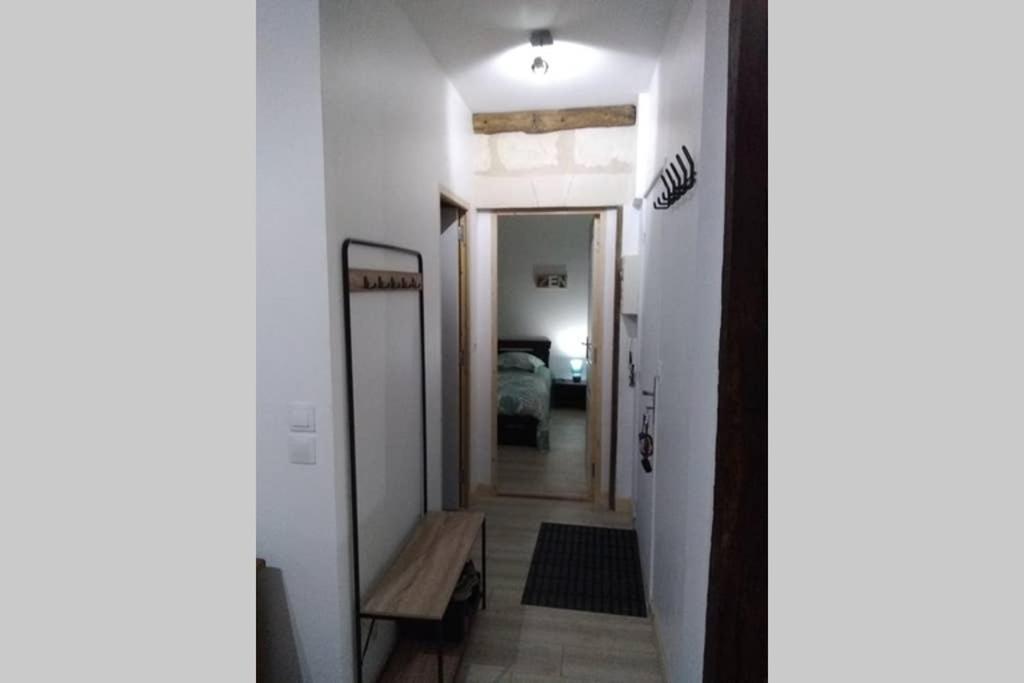 Charme Et Originalite En Hypercentre Apartment Tours Ngoại thất bức ảnh